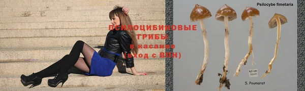 круглые Верея