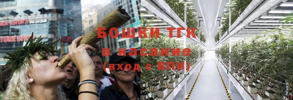 стаф Бородино