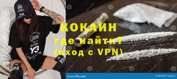 стаф Бородино