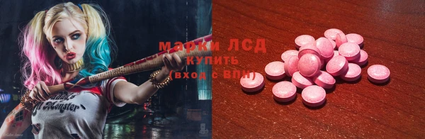 стаф Бородино