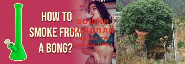 стаф Бородино