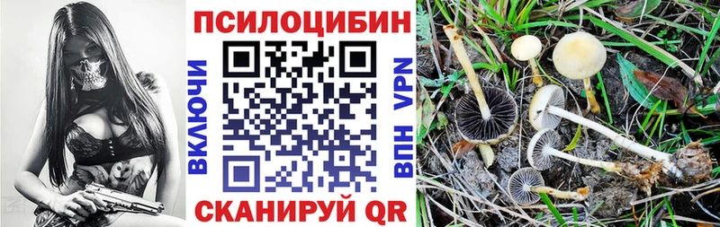 МЕГА tor  Каменка  Галлюциногенные грибы Magic Shrooms 